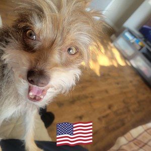 Meet your Posher, Laurel